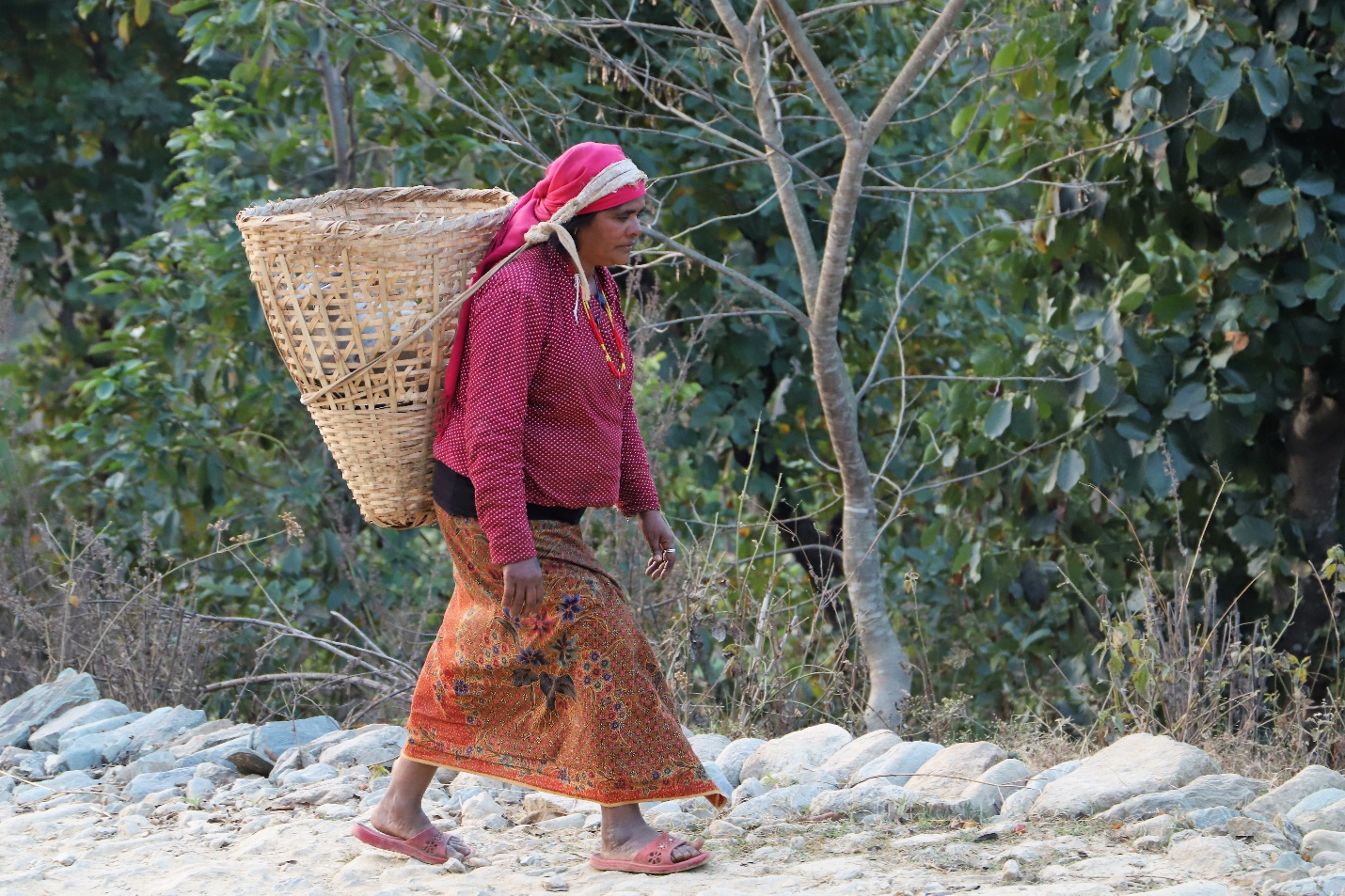 लालीमाया परियार पानी भर्न जाँदै ।