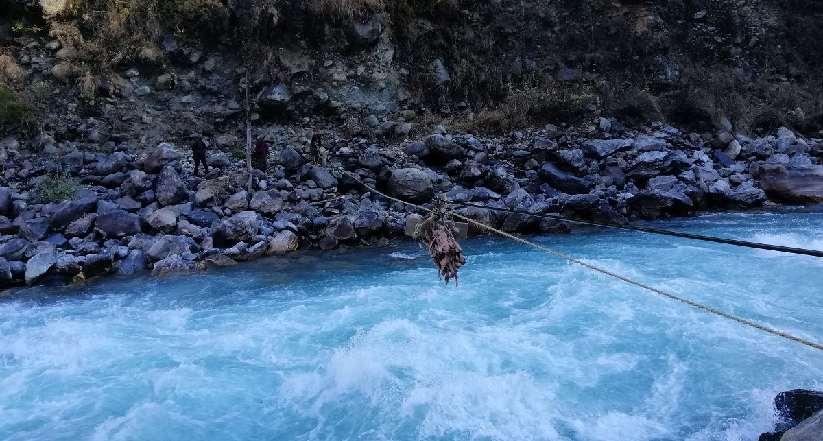 तुइनबाट दाउरा तार्दै।