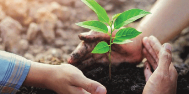 राष्ट्रिय भू-संरक्षण मनाइँदै