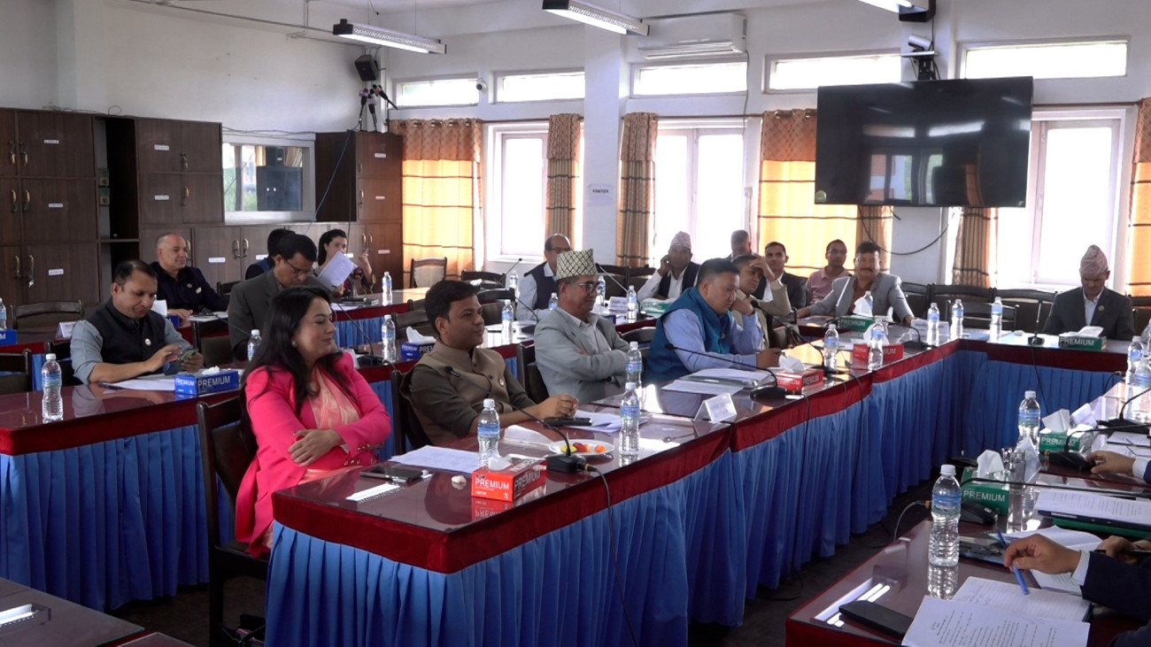 सार्वजनिक लेखा समितिमा महिला नेतृत्वको माग, आवश्यक परे खुला मतदान गर्न प्रस्ताव