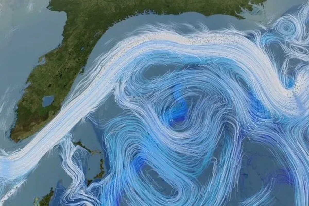 समुद्री संरचनामा ‘ग्लोबल वार्मिङ’ को गम्भीर प्रभाव