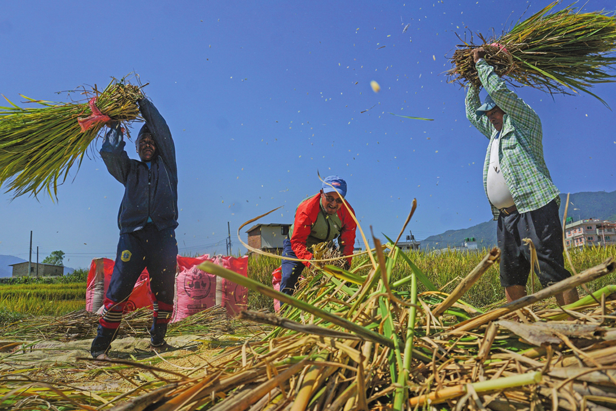 पश्चिमी क्षेत्रको जलवायु अनुकूल कृषि विकासले नेपाली प्रवासीहरूमा हर्ष