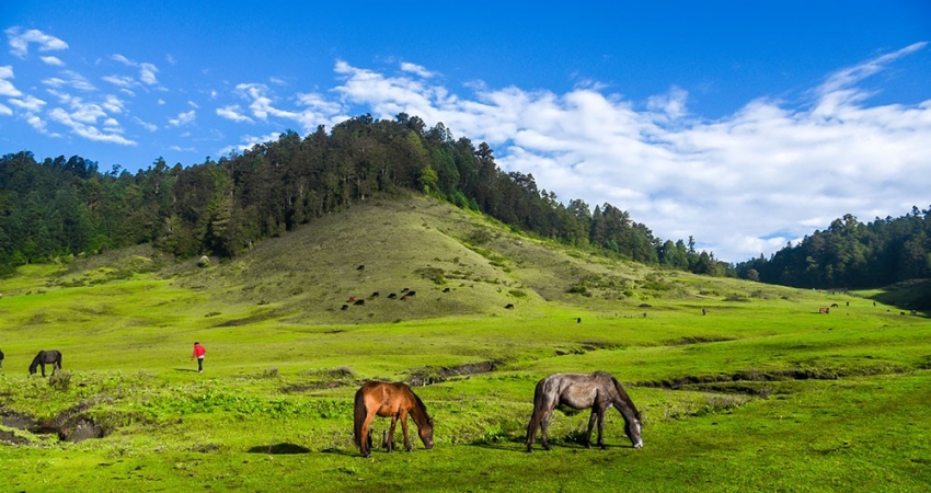 खप्तड राष्ट्रिय निकुञ्जमा पर्यटकको सङ्ख्या बढ्दै