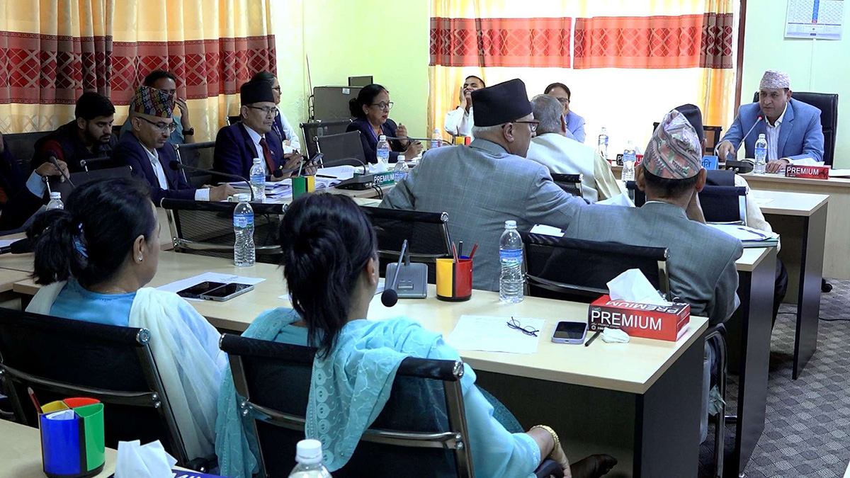 राज्य व्यवस्था समितिबाट संवैधानिक परिषदसम्बन्धी विधेयक पारित