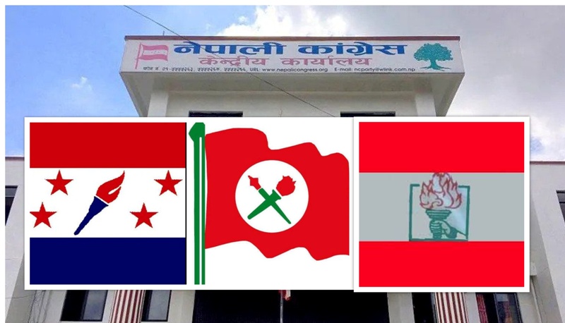 कांग्रेस भ्रातृ संगठनका एक्ला सभापतिको औचित्य छैन,  पूर्ण कार्यसमिति आवश्यक