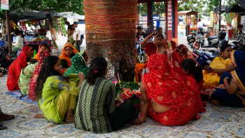 मिथिलाञ्चलमा वटसावित्री पर्व [तस्बिरहरू]