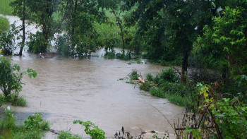 बेमौसमी वर्षाले कोशी प्रदेशको जनजीवन प्रभावित, किसान मारमा