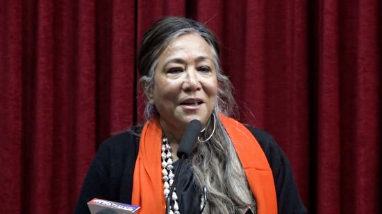 महिलामाथिको हिंसा विभेदको कारण र परिणाम दुवै हो : सपना प्रधान मल्ल