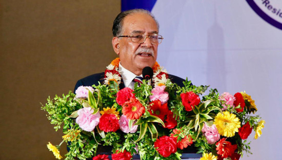 ‘एनआरएनए नागरिकता कामकाजी भएन्, सदनमा कुरा उठाउँछु’