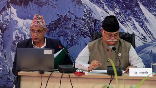 मुआब्जा दिने विषयमा मन्त्रालय गैर जिम्मेवार बन्यो : सभापति सिंह