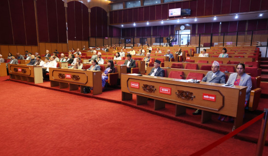 नीति तथा कार्यक्रम राष्ट्रिय सभाबाट पनि पारित