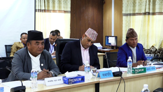 विधेयक पारित गर्दा कुनै पार्टीको सामान्य गन्द पनि आउन हुँदैन : सभापति खतिवडा