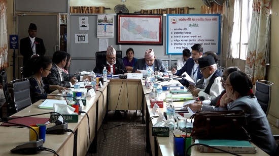 विधायन समितिमा समितिको वार्षिक कार्यतालिकाको समिक्षा