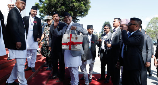 कार्यकारी तहमा ३३ प्रतिशत महिला सहभागिताको नीति