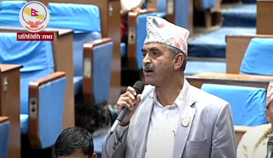 ‘संसद भवन समयमै निर्माण सम्पन्न नहुँदा प्रश्न उठ्यो’