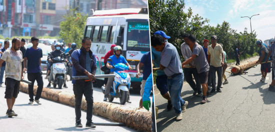 इन्द्रजात्राका लागि काठमाडौं ल्याएइँदै लिङ्गो [तस्बिरहरू]