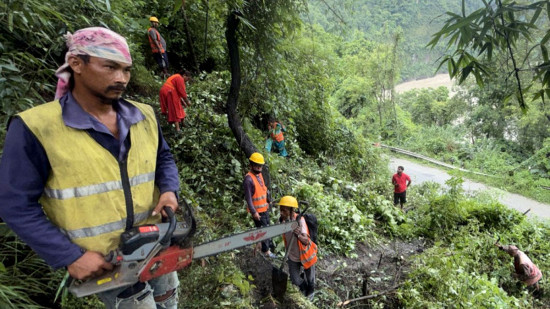 सडक सञ्चालन गर्न कृष्णभीरमा रुख काट्न थालियो