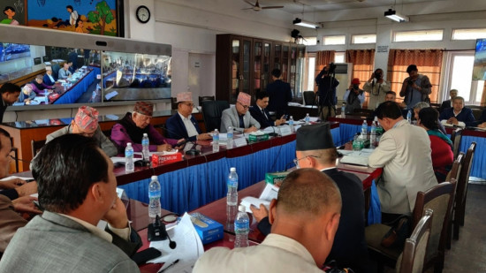 पतञ्जली जग्गा प्रकरणको प्रतिवेदन अख्तियारमा पठाउने लेखा समितिको निर्णय