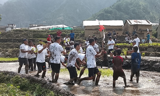 तस्बिरमा हेर्नुस् बाजुराको रोपाईँ महोत्सव 