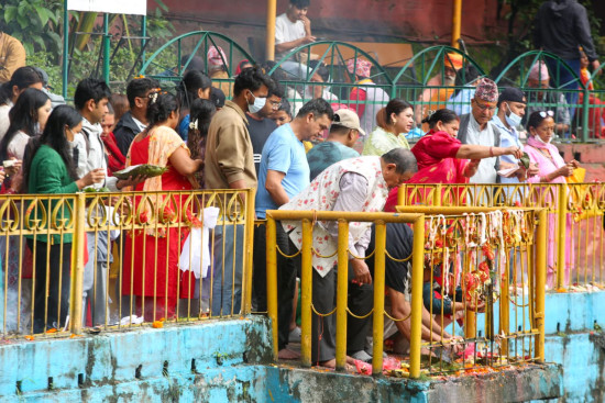नागपञ्चमीमा नागपोखरीमा घुइँचो [तस्बिरहरू]