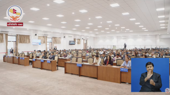 प्रतिनिधिसभाबाट ‘आर्थिक विधेयक, २०८३’बहुमतले पारित 