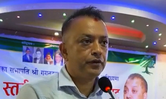 कांग्रेस अब डिजिटल र सिस्टममा चल्छ, अद्यावधिक नगर्नेहरू क्रियाशील सदस्य रहँदैनन्ः सभापति थापा