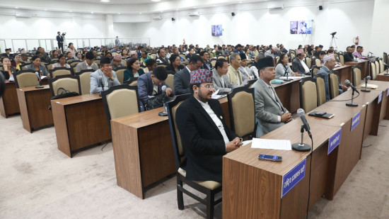 प्रतिनिधिसभामा राष्ट्रिय सेवा दल विधेयक पेस