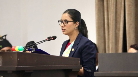 प्रतिनिधिसभा निर्वाचनसम्बन्धी विधेयक राष्ट्रिय सभाबाट पारित