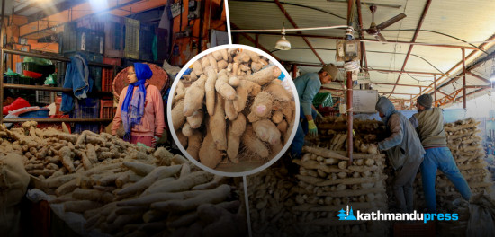 कालीमाटीमा तरुलको व्यापार