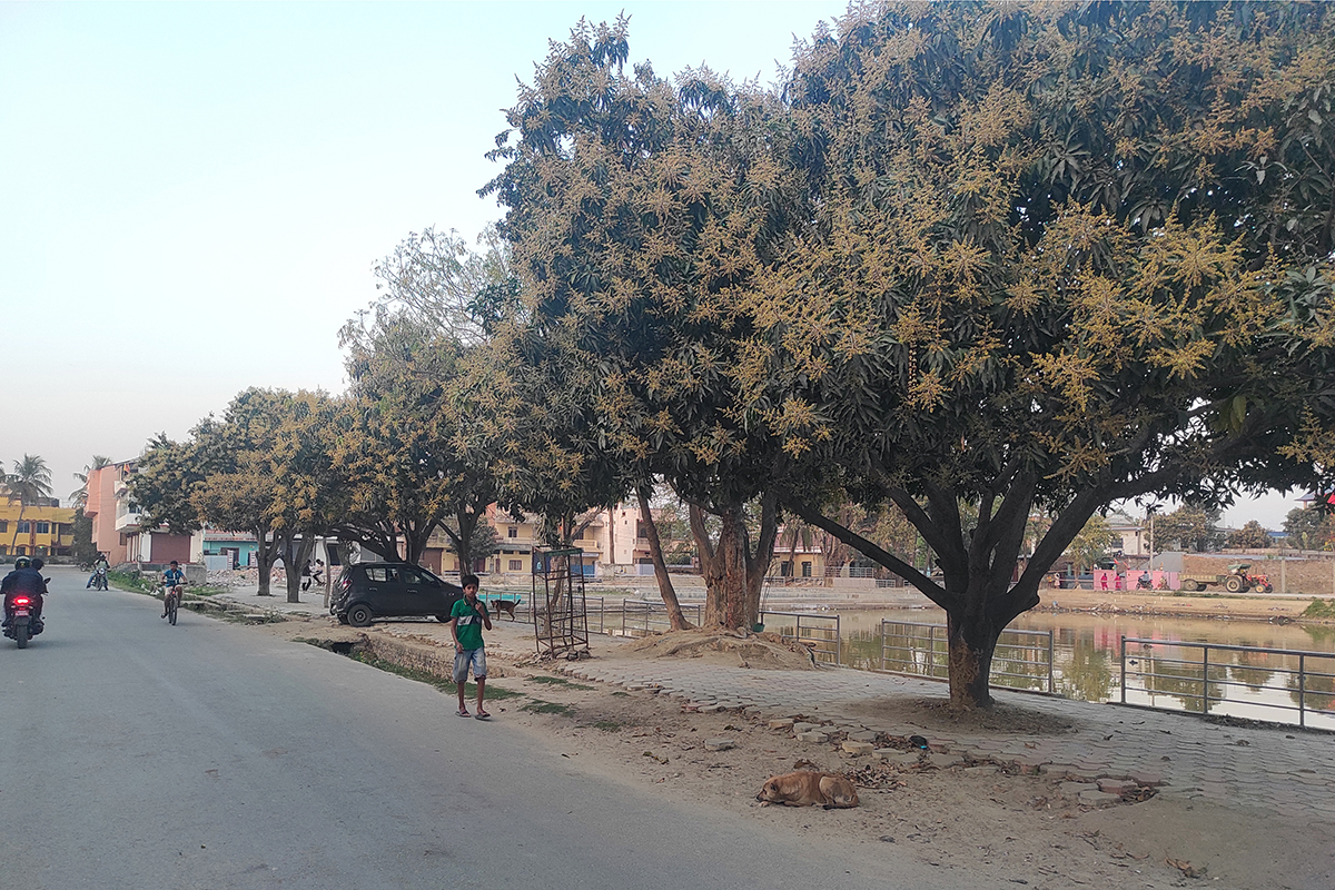 AKY-Rajbiraj-IMG_20240313_174828-1710409003.jpg