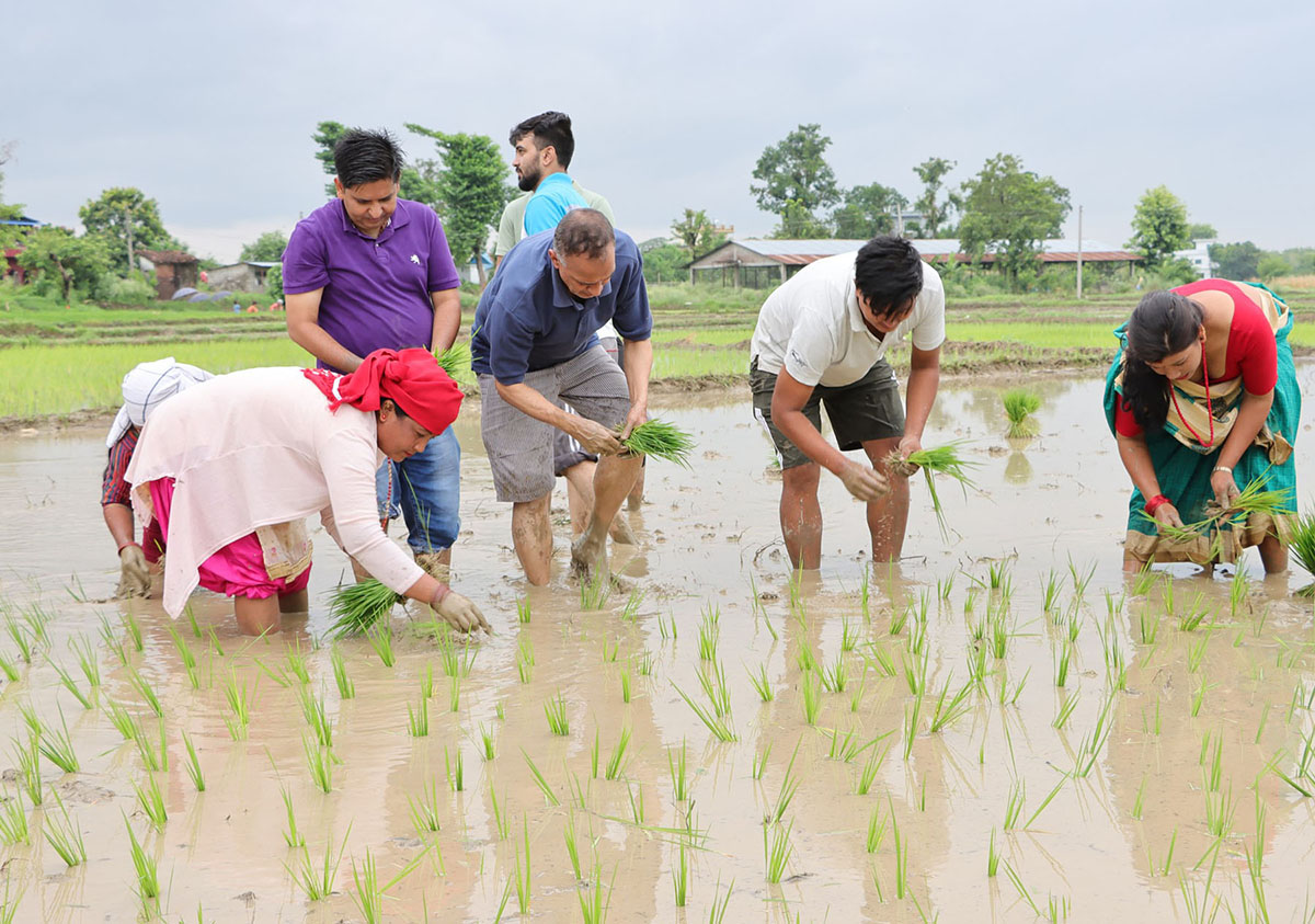 BK-Lumbini1688123036.jpg