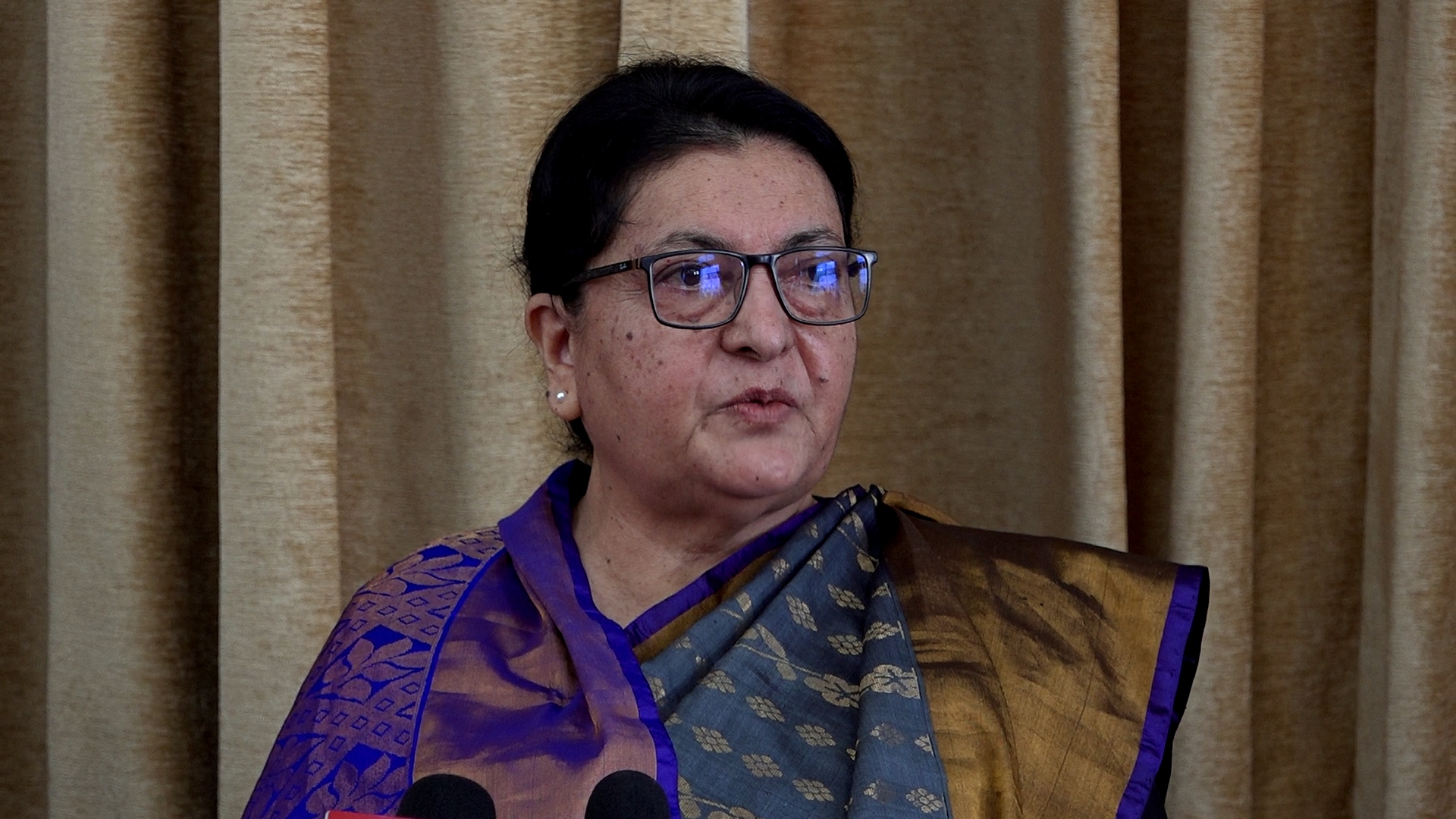 नेताहरू बाहिर धेरै बोल्ने आफ्नो पार्टीभित्र केही पनि गर्न नसक्ने प्रवृत्तिका छन् : विद्यादेवी भण्डारी