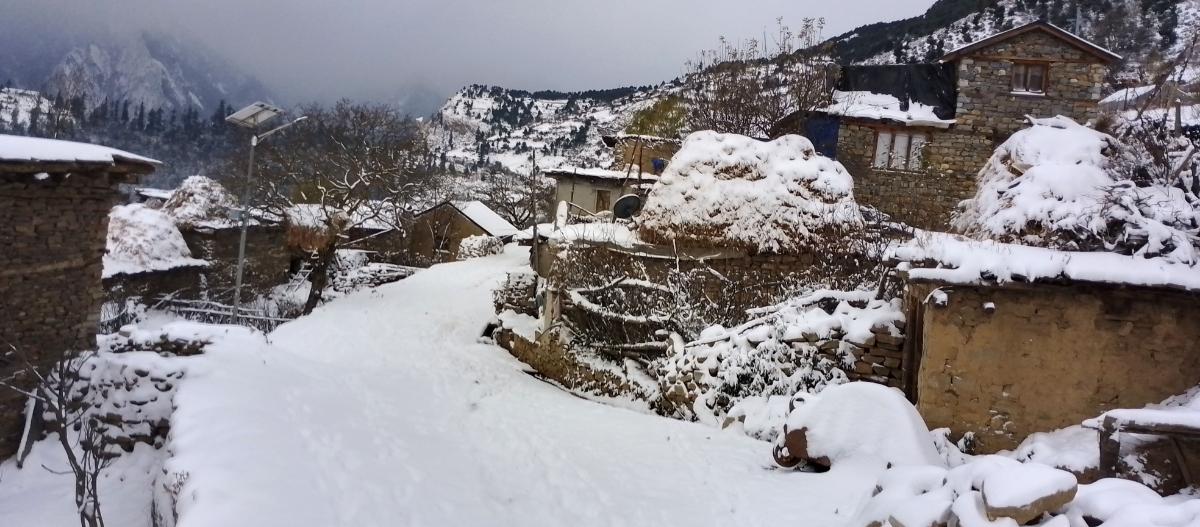 DB_SIMKOT_4-1733753390.jpg