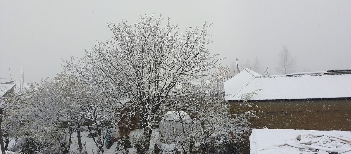 DB_Simkot-IMG_20231204_082528_974-1701674608.jpg
