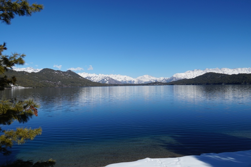 DSC00564-1701674330.JPG