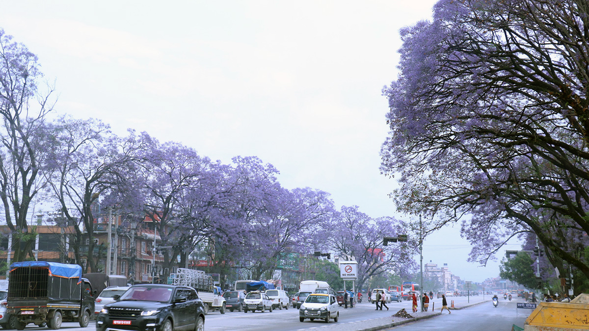 HP_LALITPUR-(1)1683204600-1714389429.jpg