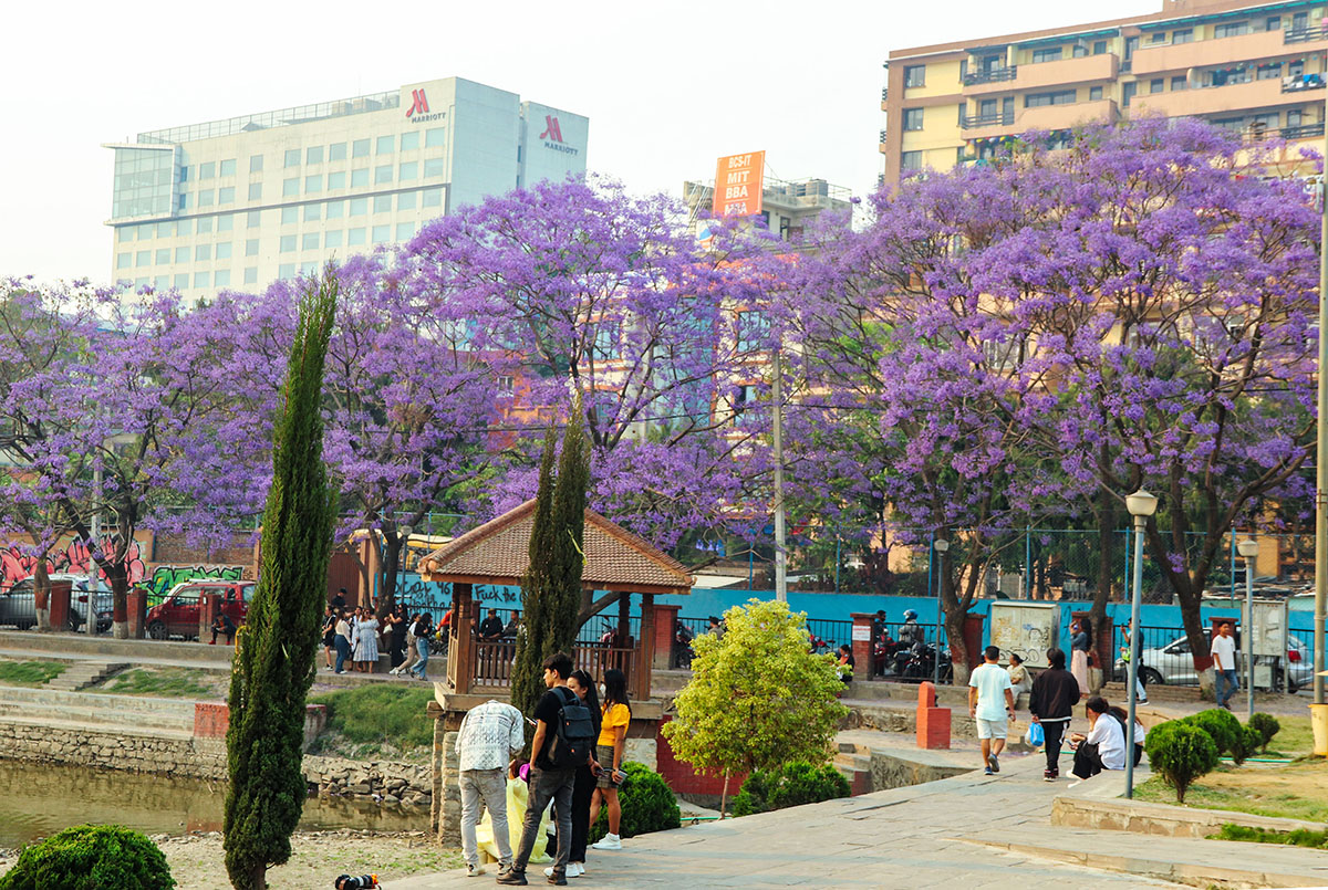 HRB_KTM_IMG_4592-(1)-1714389430.jpg