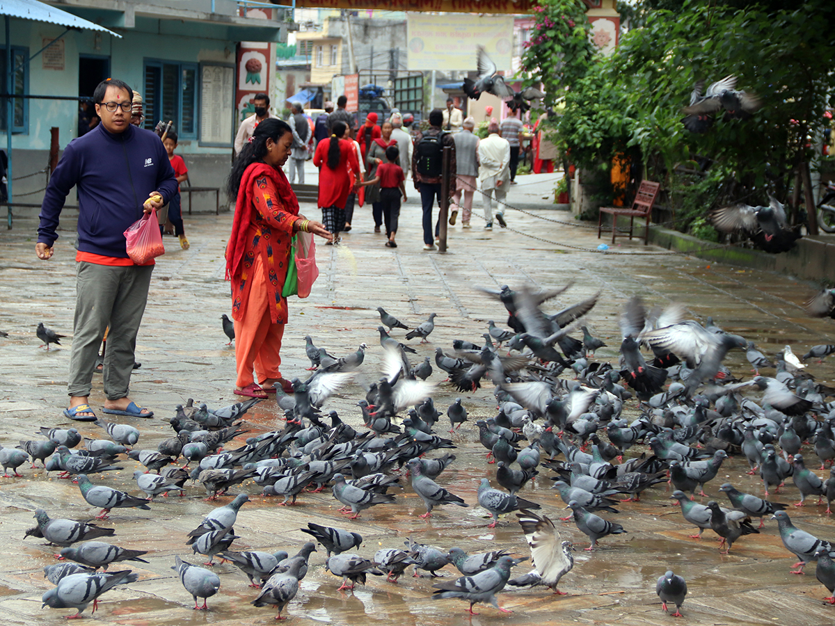 HRB_KTM_IMG_50371691997369.jpg