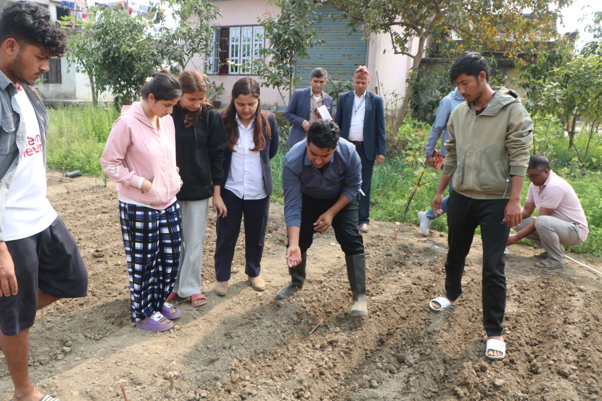 ‘बेबी कर्न’ को जातीय परीक्षण सुरू
