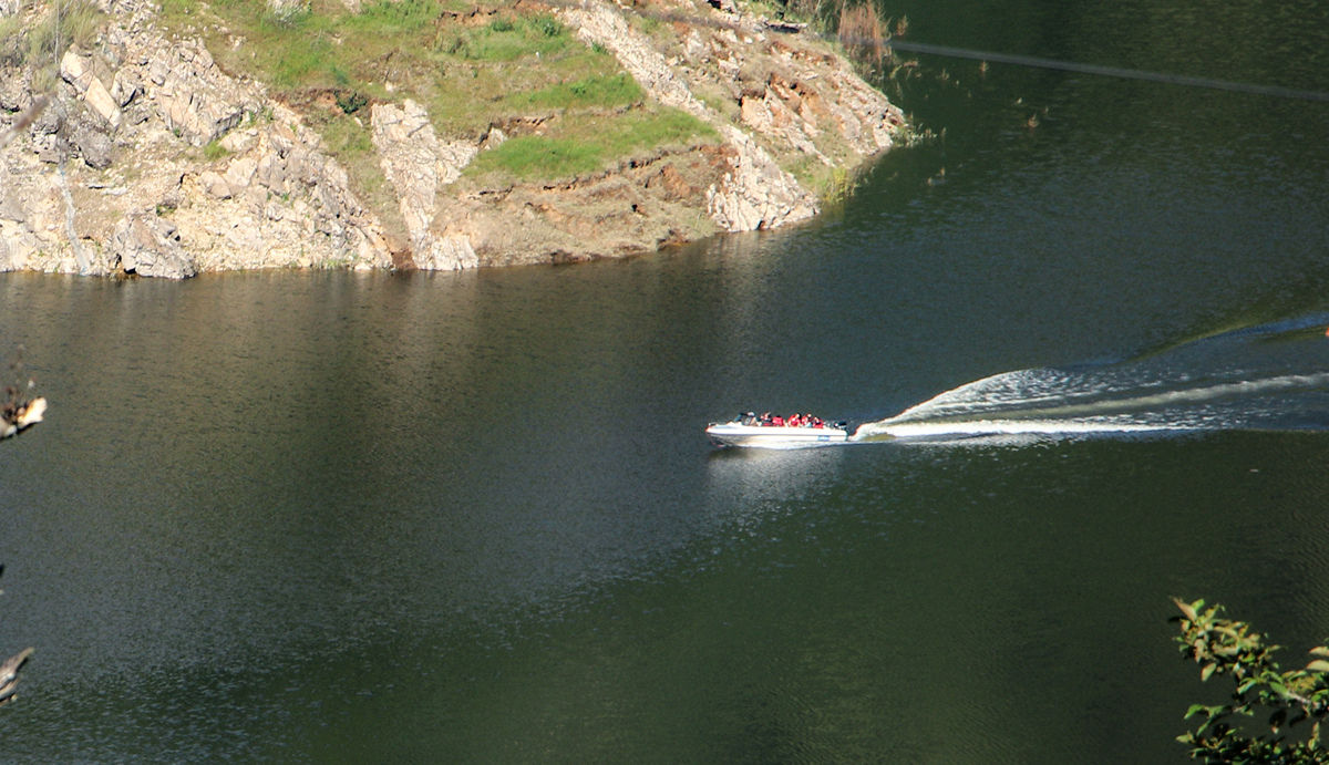 IMG_3116-1698478719.jpg