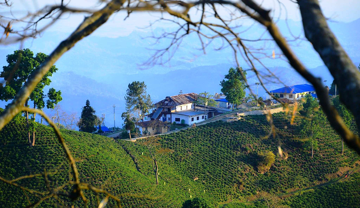 Ilam-pic-(1)-1697786914.jpg