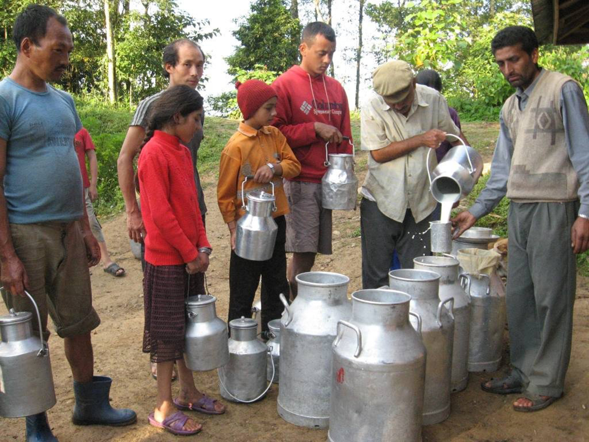 Ilam-pic-(3)-1697786921.jpg