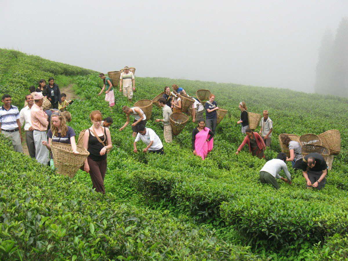 Ilam-pic-(5)-1697786919.jpg