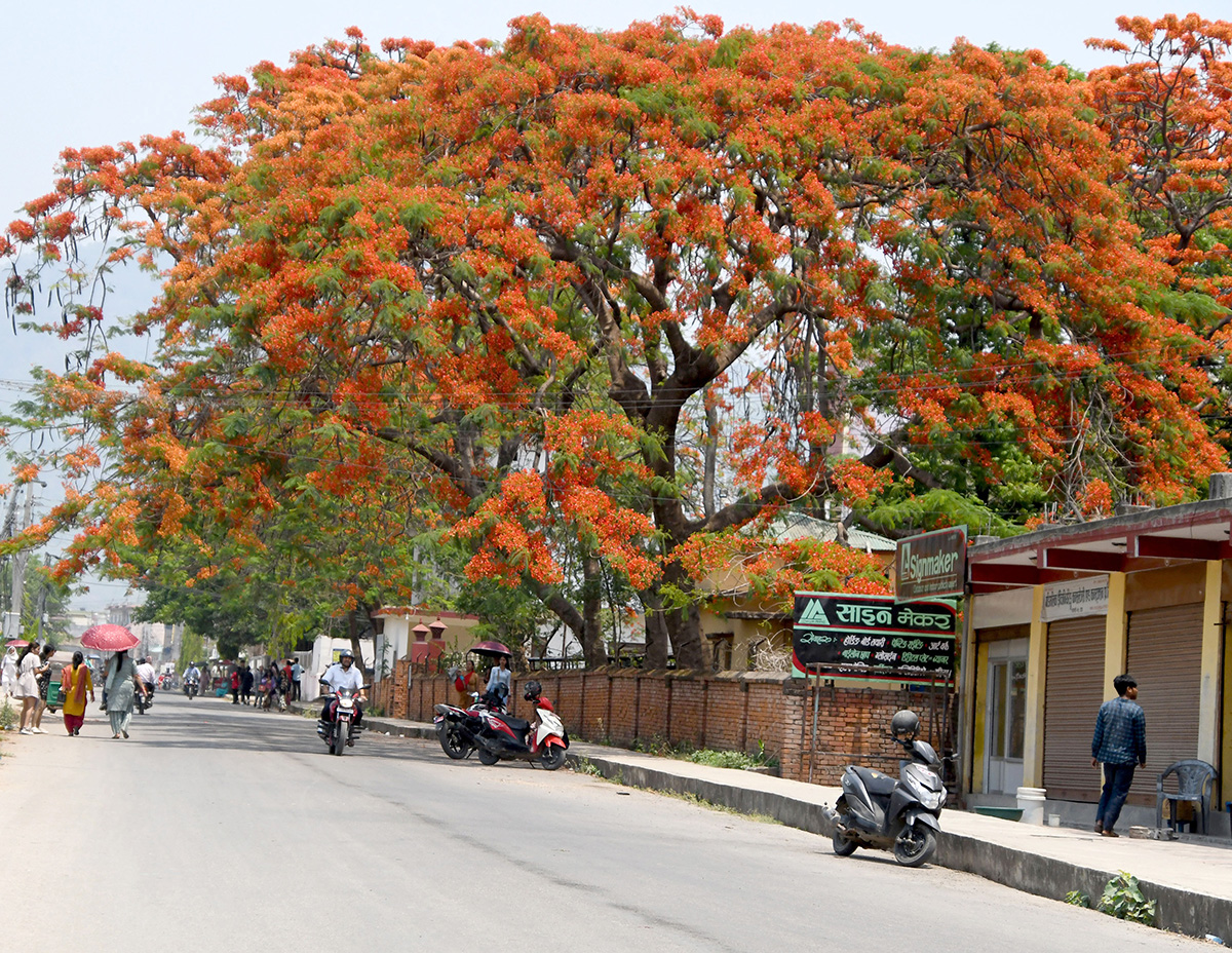 KDN_Dang-DSC_4993-(1)-1715242467.jpg