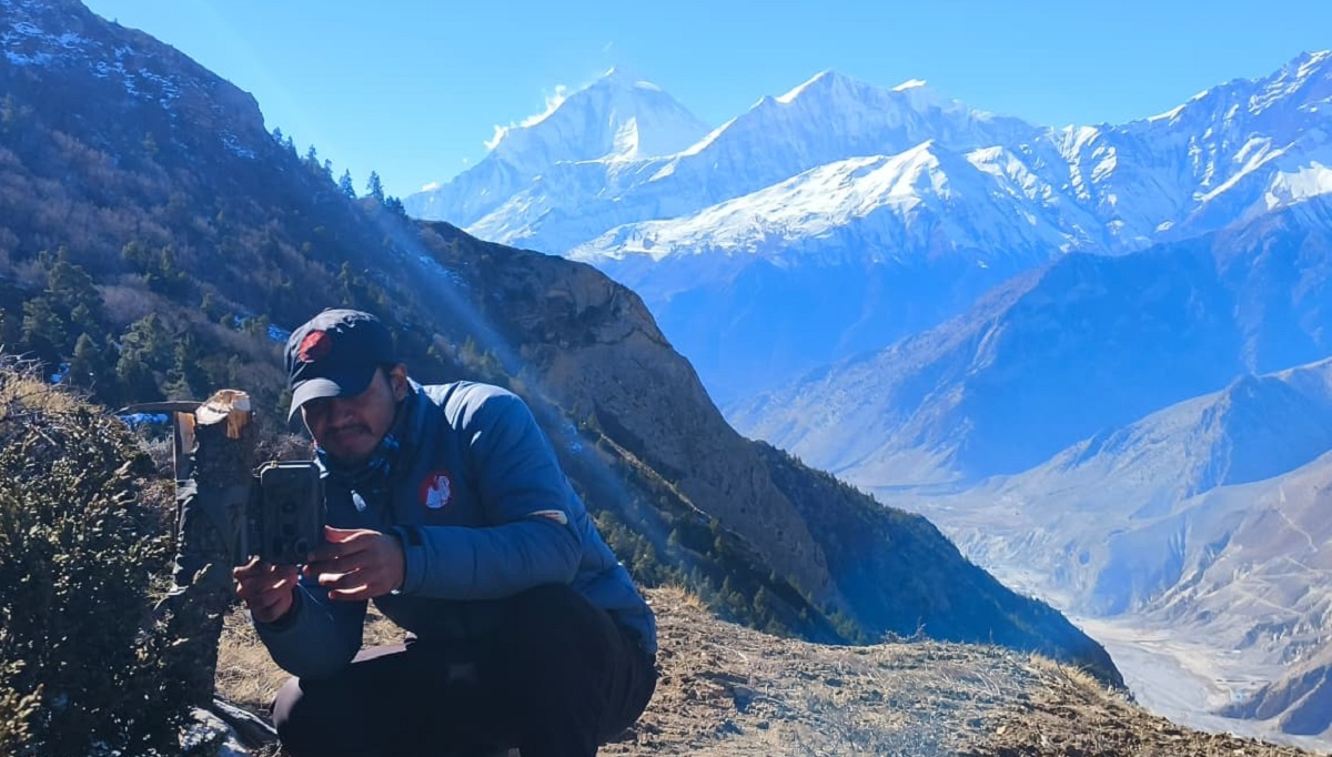 मुस्ताङमा हिउँ चितुवा अध्ययन गर्न ‘क्यामेरा ट्यापिङ’ गरिँदै