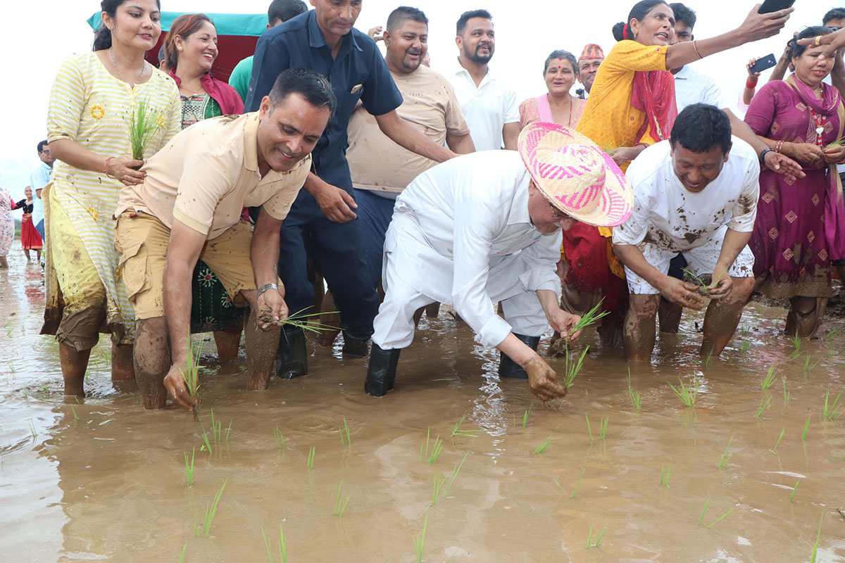 NA-CHITWAN21688123038.jpg