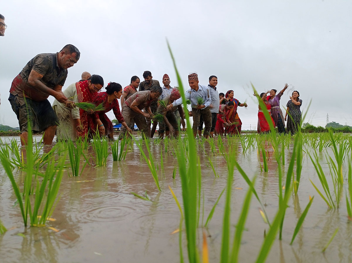 NG_SUNSARI_IMG_20230630_0935211688113952.jpg