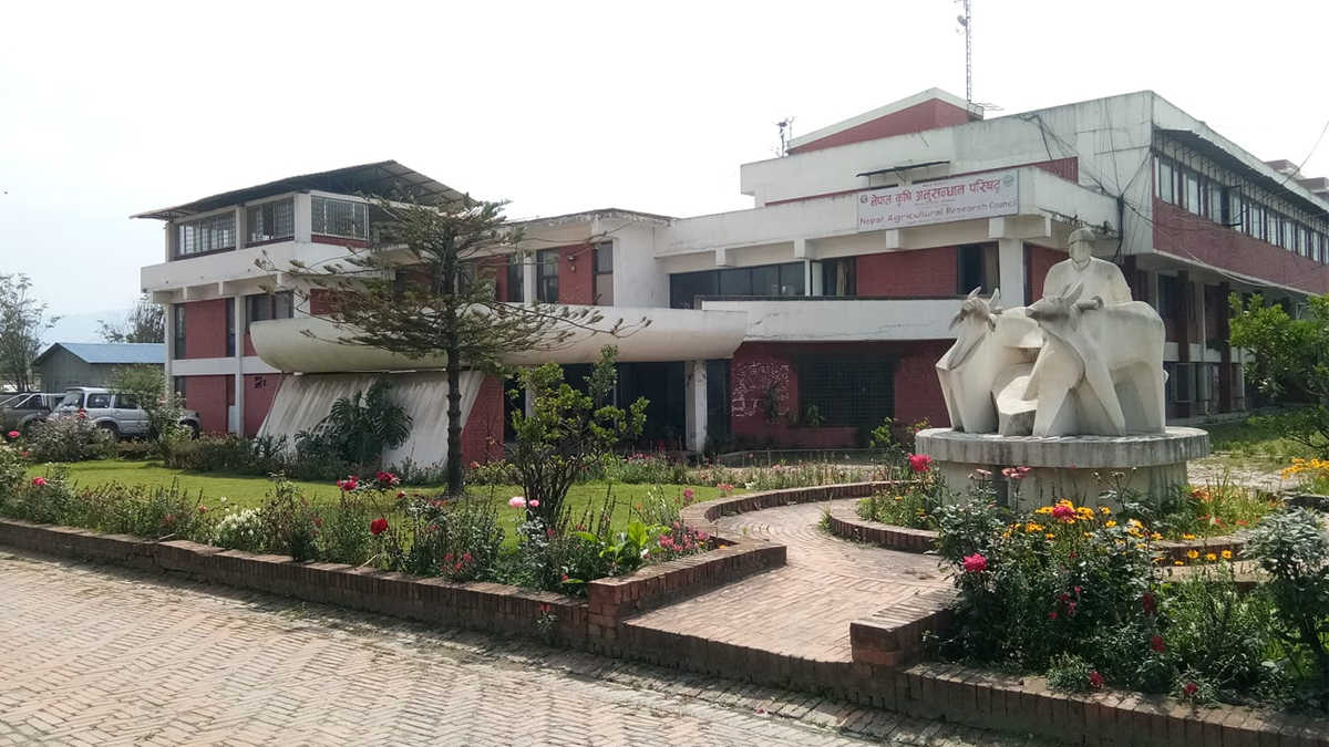 नार्कका वैज्ञानिक कर्मचारी आन्दोलित, कार्यकारी निर्देशकको कार्यकक्षमा तालाबन्दी