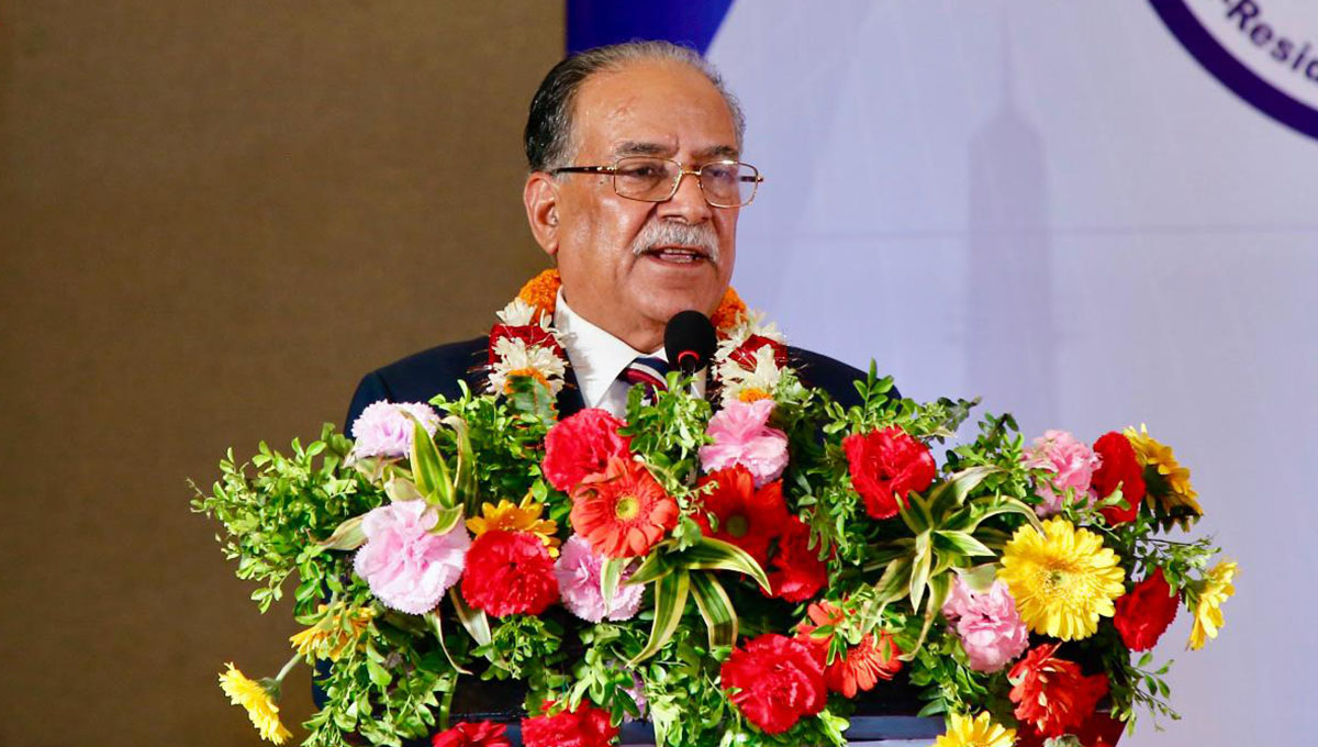 ‘एनआरएनए नागरिकता कामकाजी भएन्, सदनमा कुरा उठाउँछु’