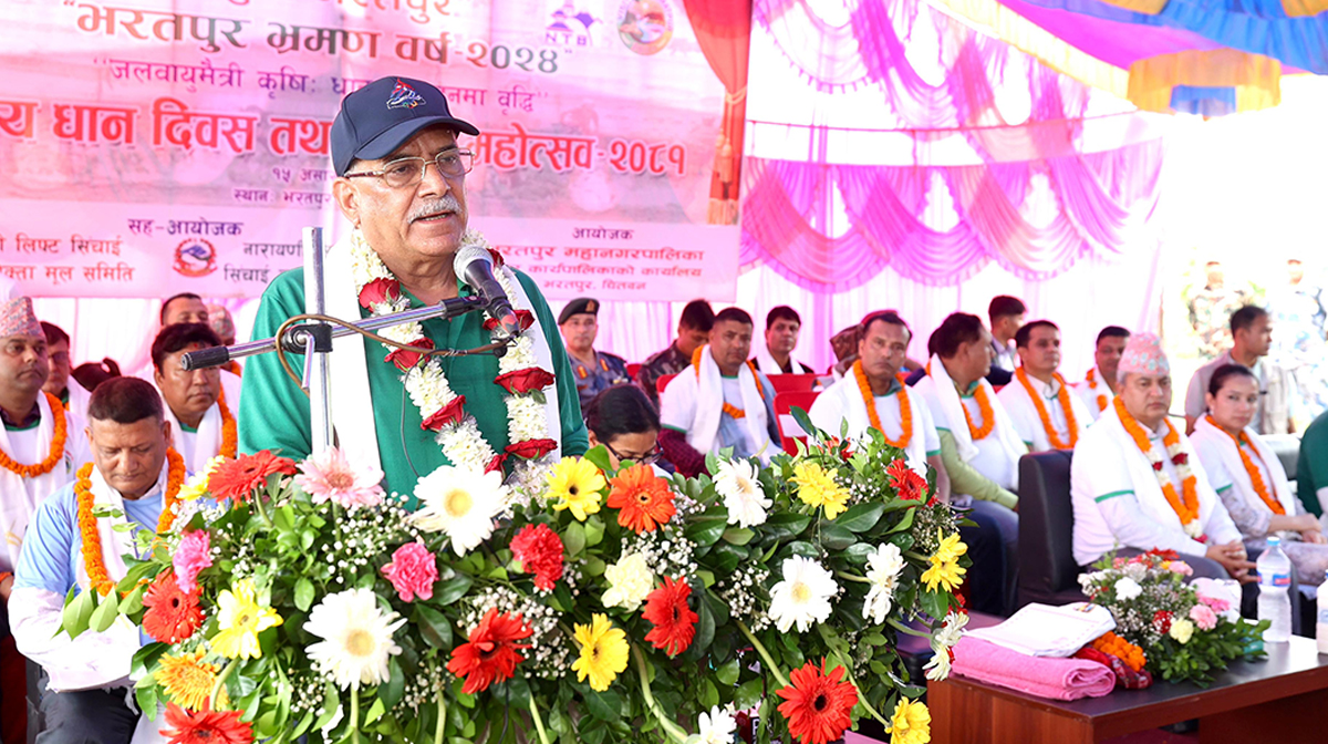 ‘धानमा आत्मनिर्भर हुनसक्ने प्रशस्त आधारहरू छन्’
